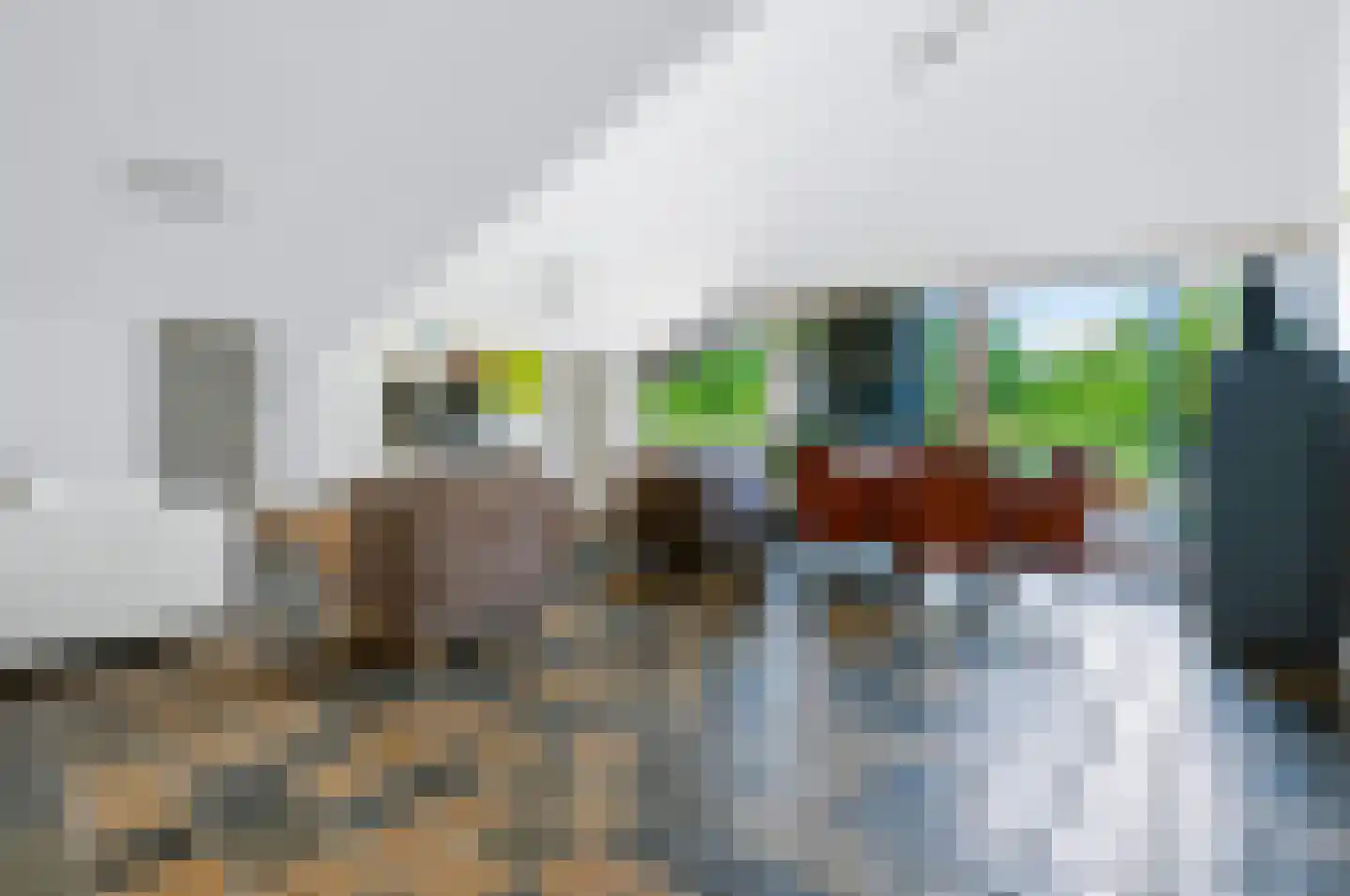 Bovenstraat 73 Hoeven thumbnail 40