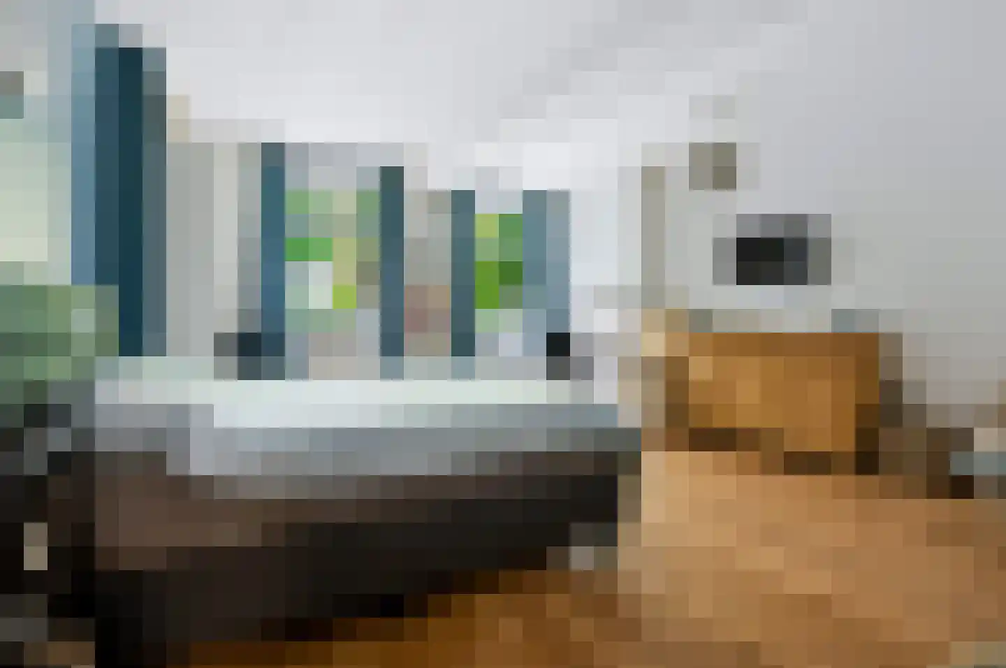 Bovenstraat 73 Hoeven thumbnail 42