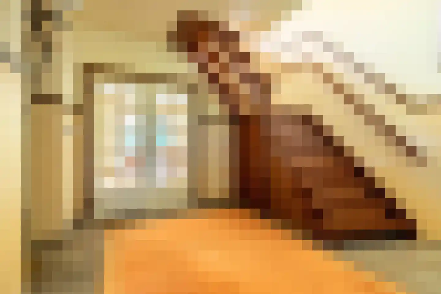 Bovenstraat 73 Hoeven thumbnail 6