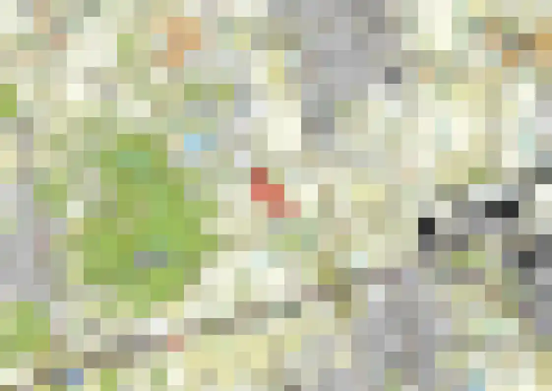 Bovenstraat 73 Hoeven thumbnail 64