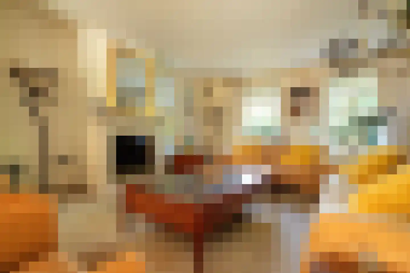 Bovenstraat 73 Hoeven thumbnail 9