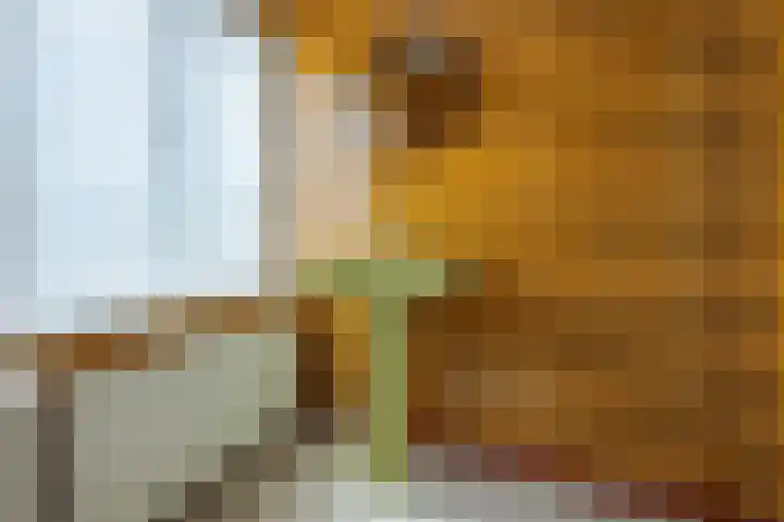 Bovenstraat 76 Hoeven thumbnail 34