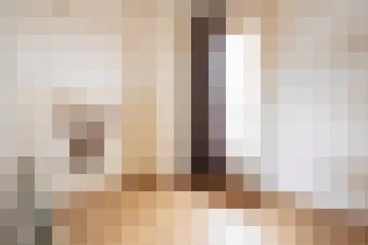 Bovenstraat 76 Hoeven thumbnail 8