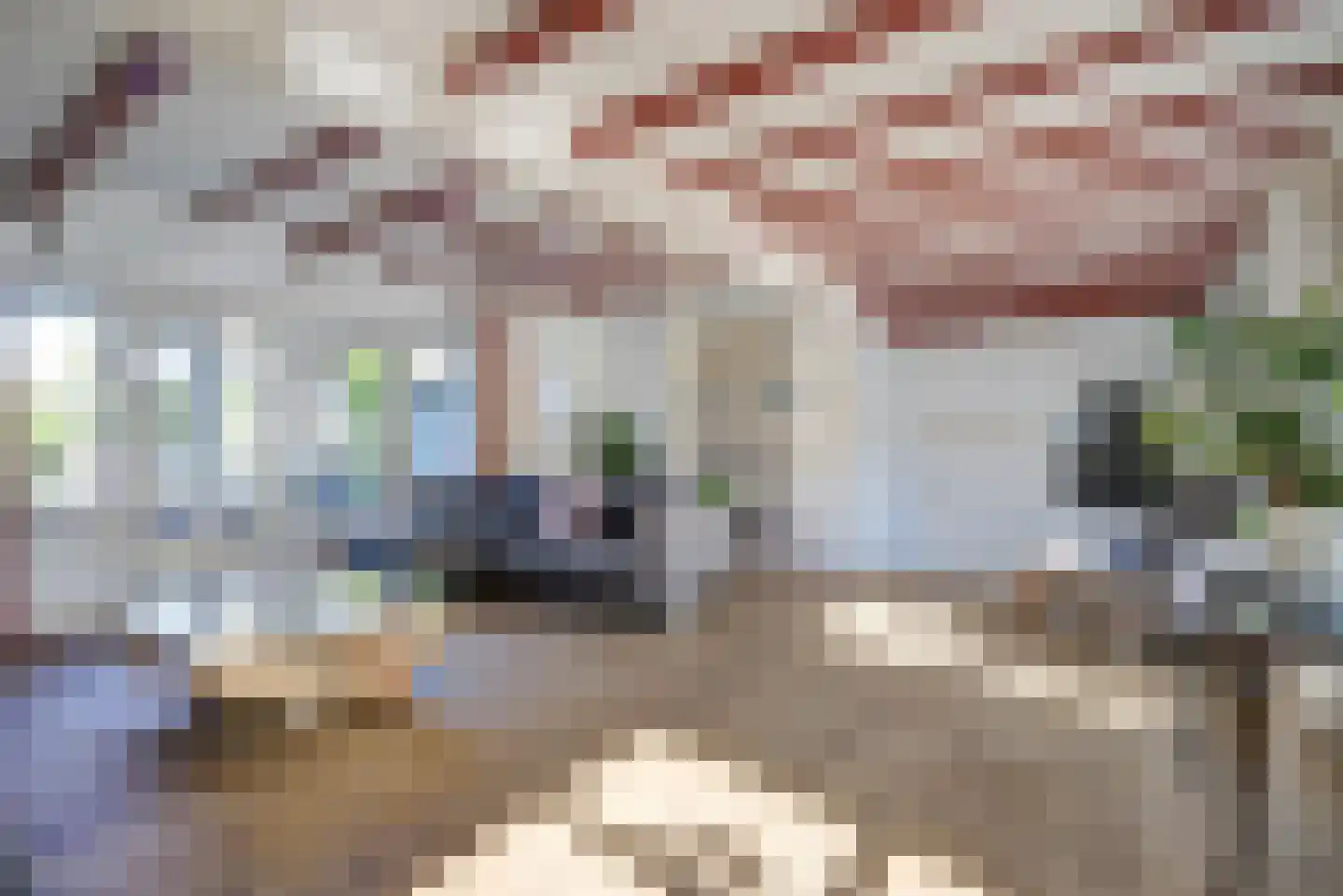 Bovenstraat 8 Hoeven thumbnail 11