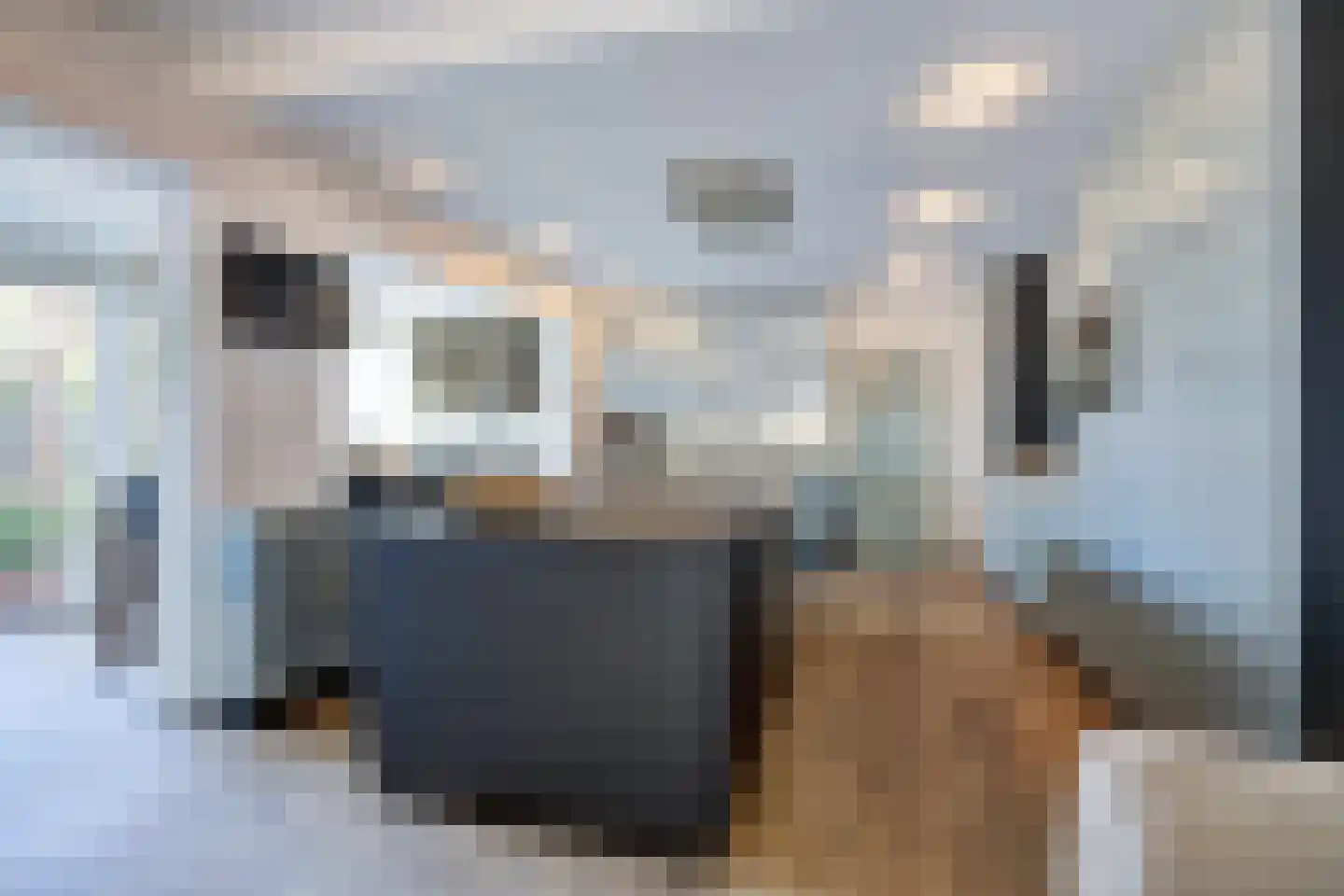 Bovenstraat 8 Hoeven thumbnail 22