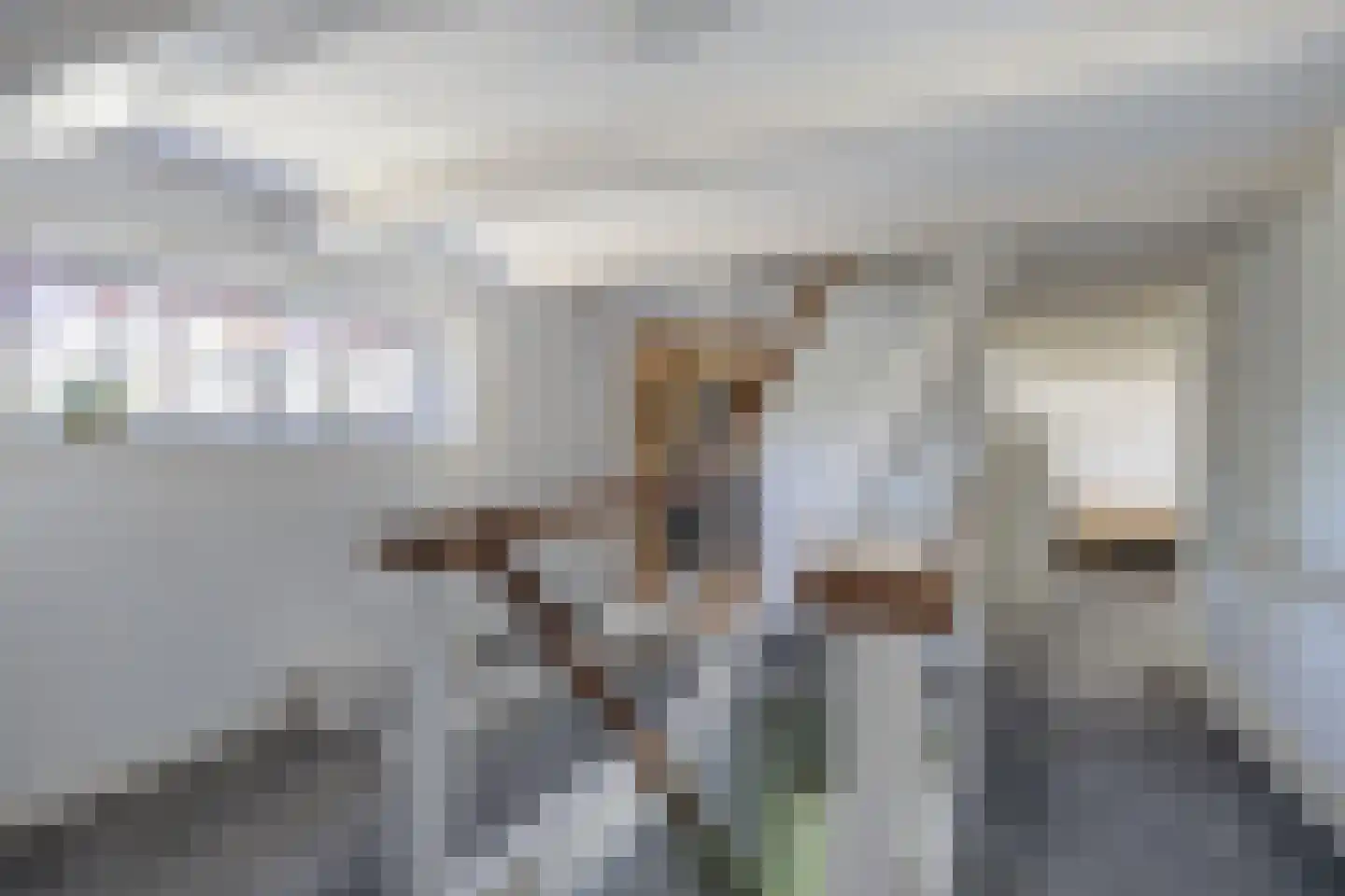 Bovenstraat 8 Hoeven thumbnail 35