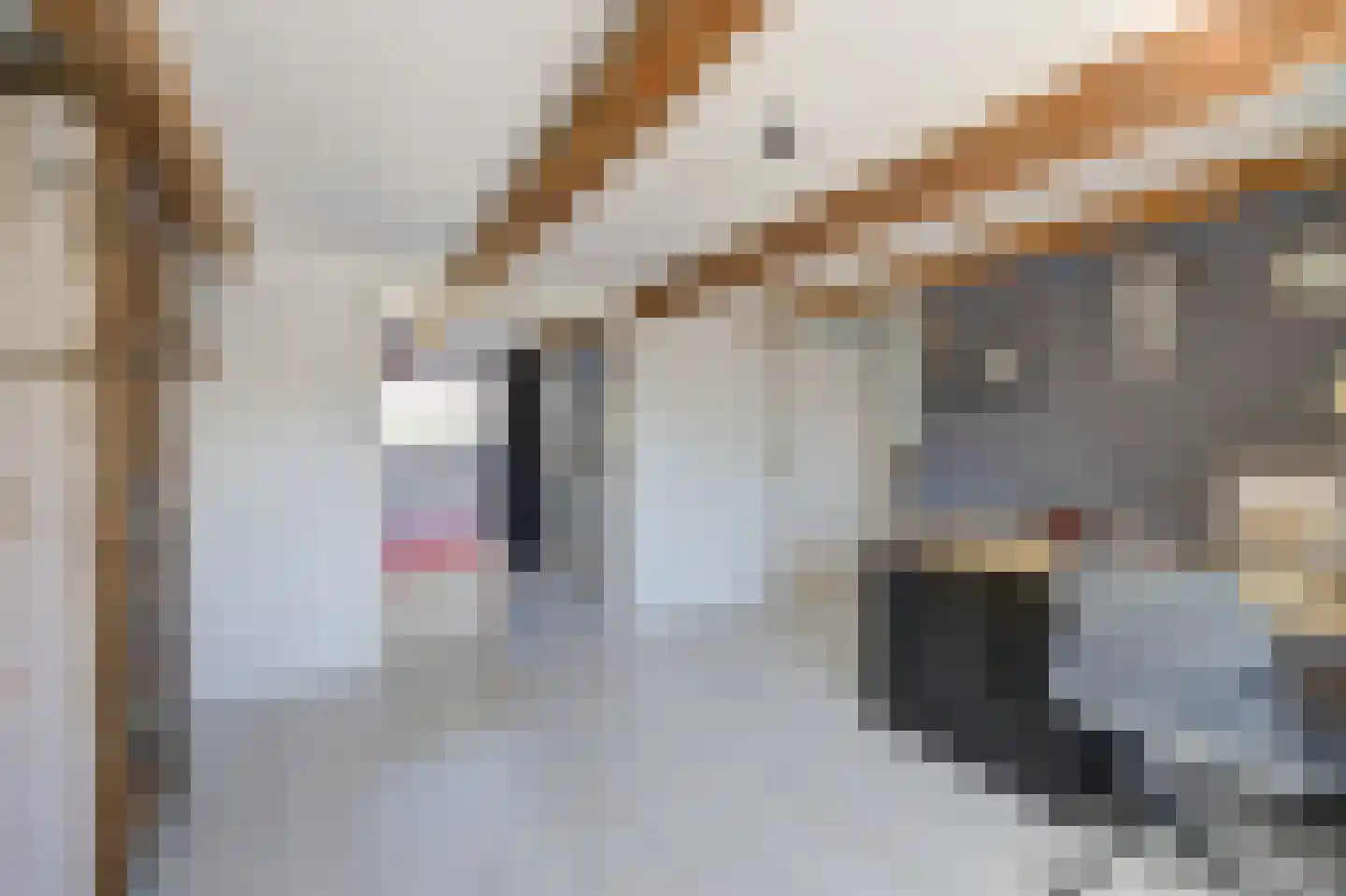 Bovenstraat 8 Hoeven thumbnail 39