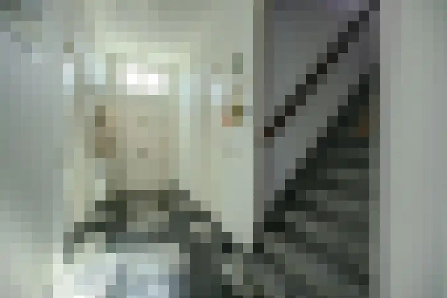 Bovenstraat 8 Hoeven thumbnail 7