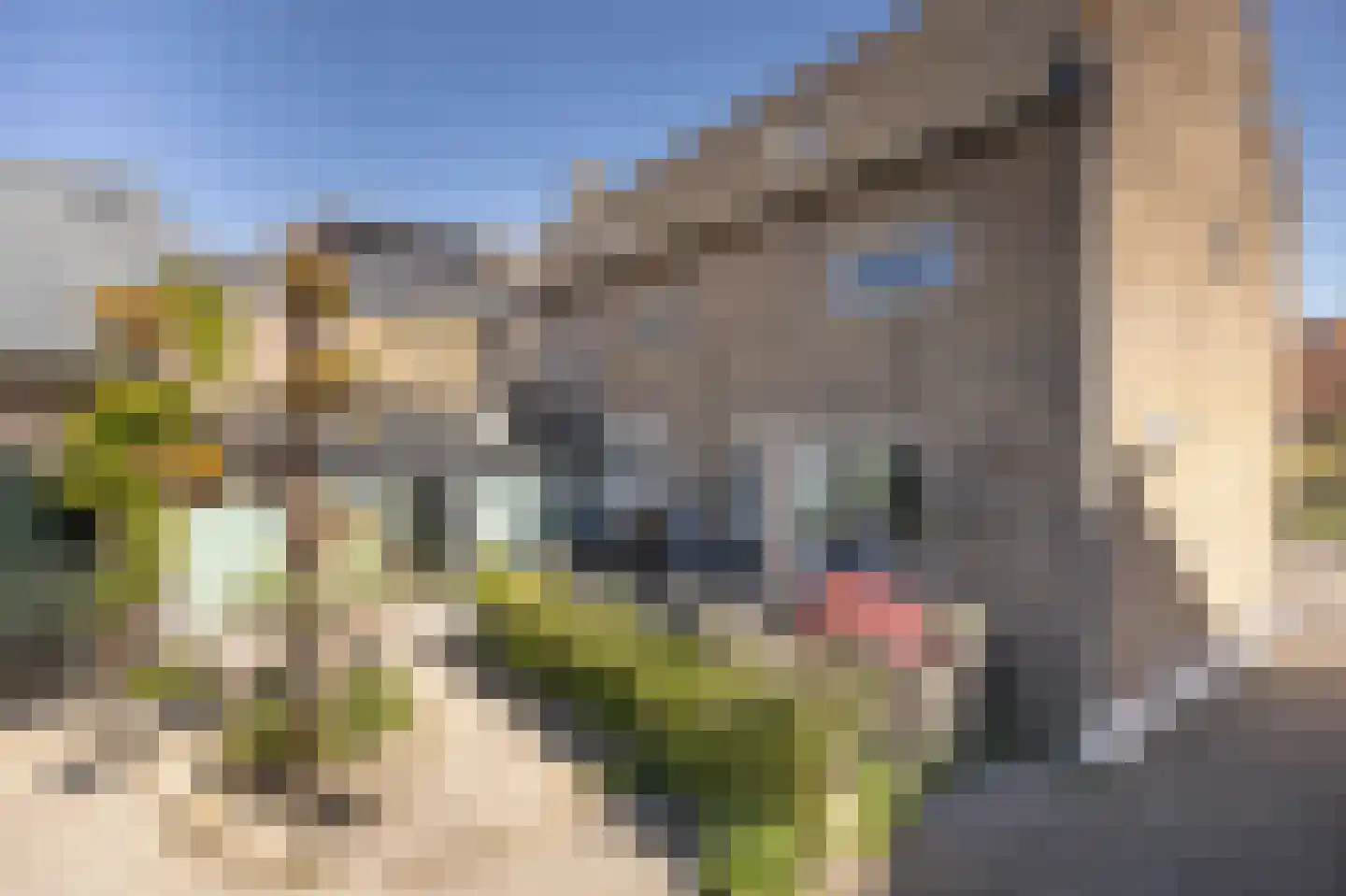 Bovenstraat 8 Hoeven thumbnail 76