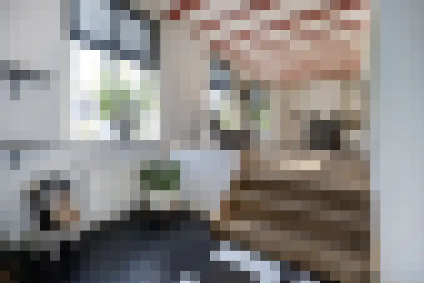 Bovenstraat 8 Hoeven thumbnail 8
