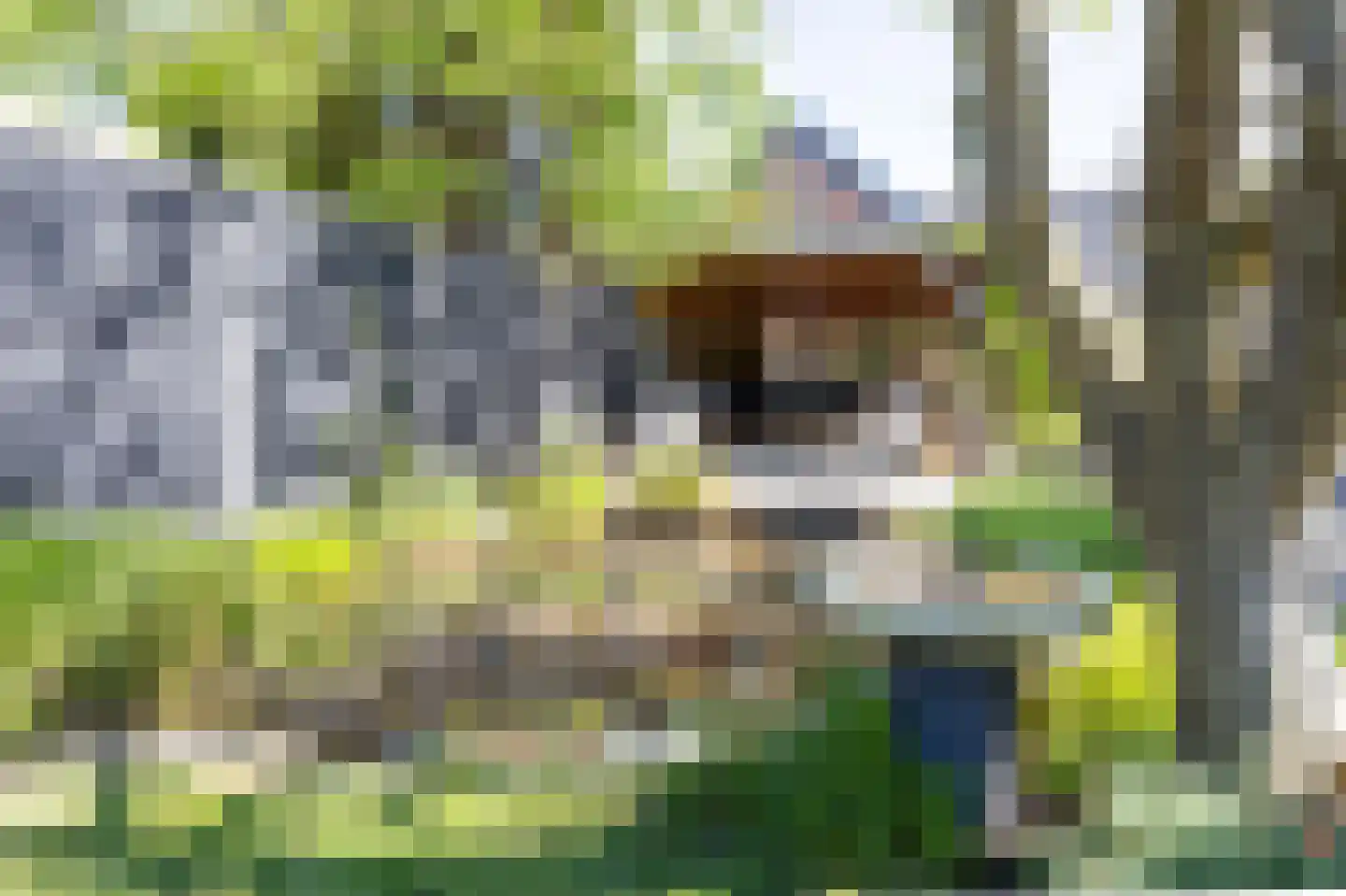 Bovenstraat 8 Hoeven thumbnail 83