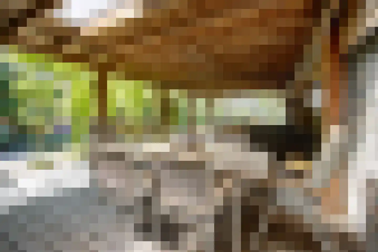 Bovenstraat 8 Hoeven thumbnail 91