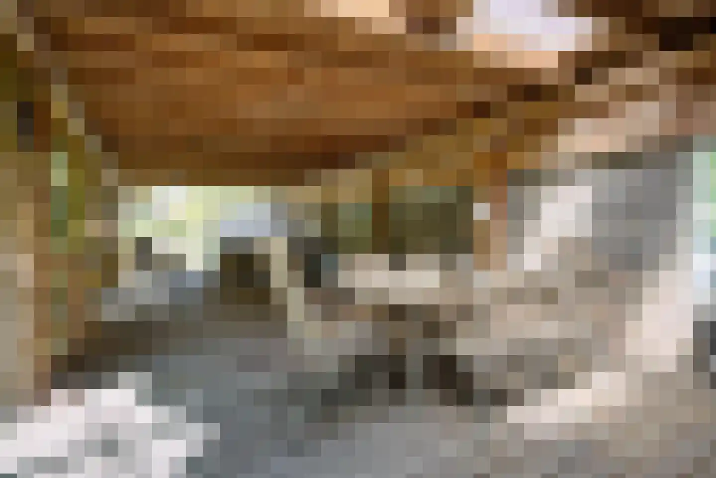 Bovenstraat 8 Hoeven thumbnail 92