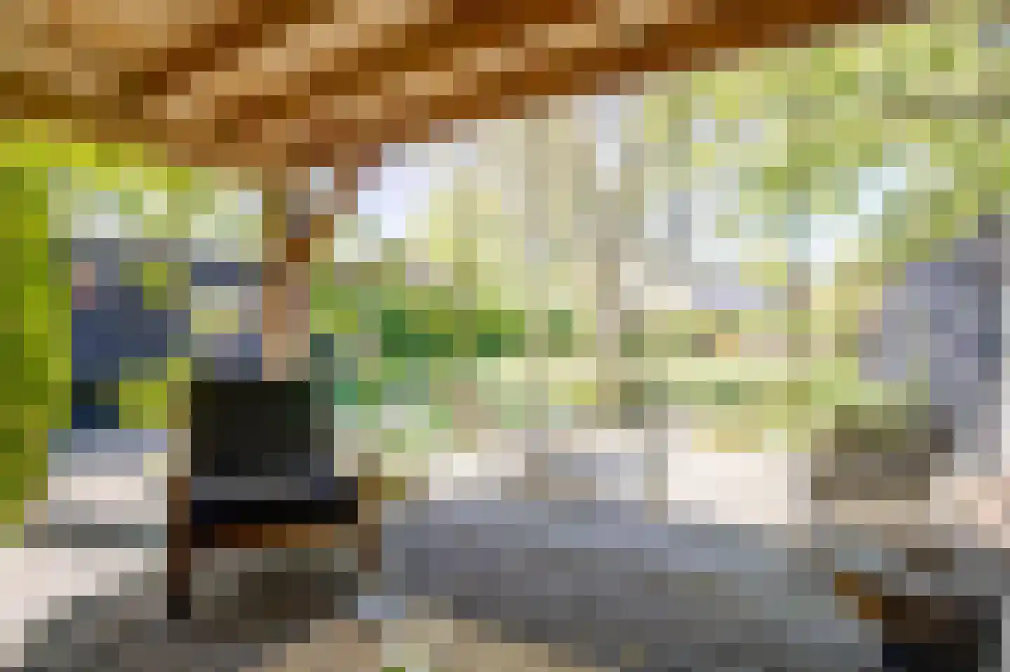 Bovenstraat 8 Hoeven thumbnail 96