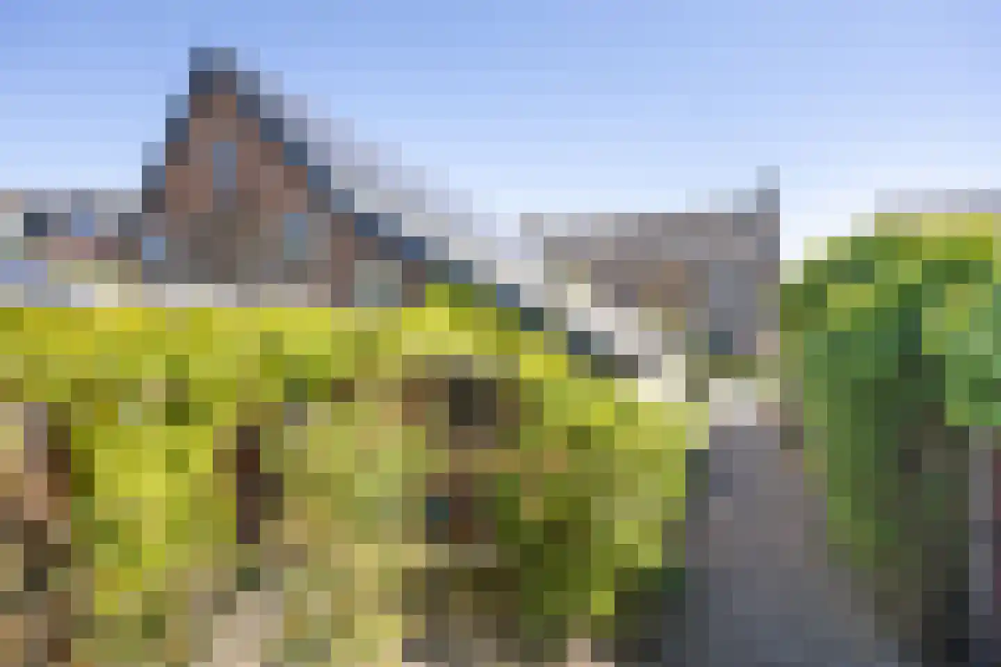 Bovenstraat 8 Hoeven thumbnail 98