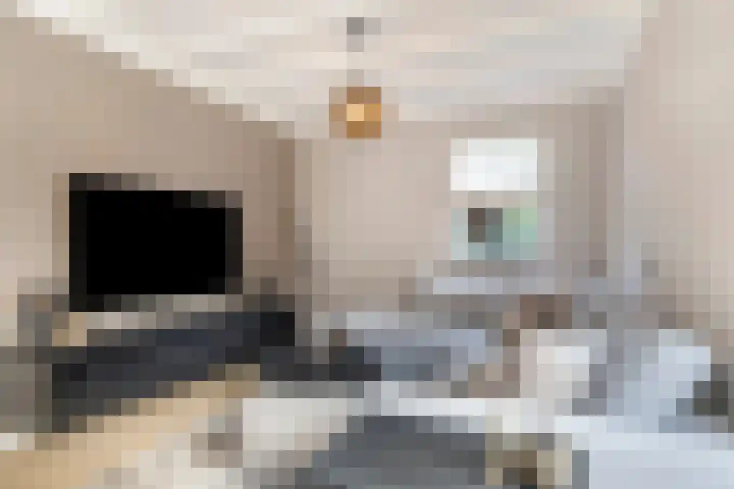 Bovenstraat-Erf 1 Hoeven thumbnail 11