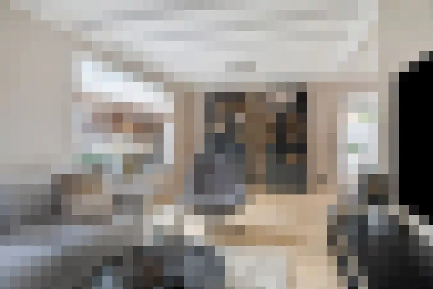 Bovenstraat-Erf 1 Hoeven thumbnail 12