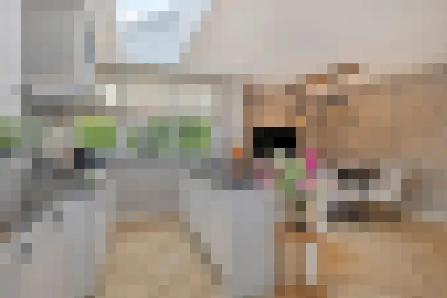 Bovenstraat-Erf 1 Hoeven thumbnail 15