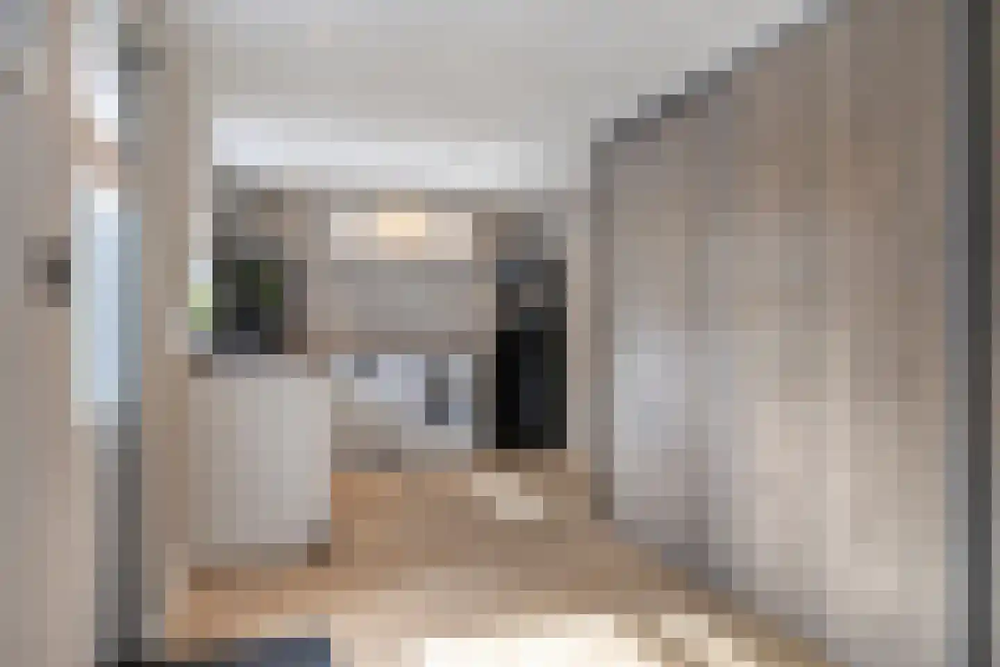 Bovenstraat-Erf 1 Hoeven thumbnail 21