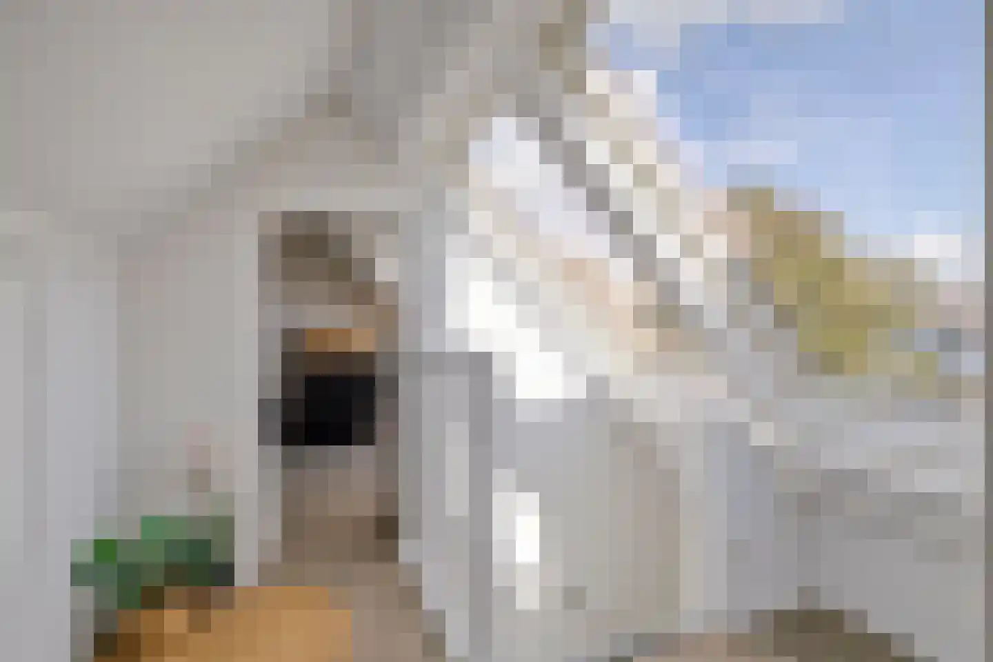 Bovenstraat-Erf 1 Hoeven thumbnail 37