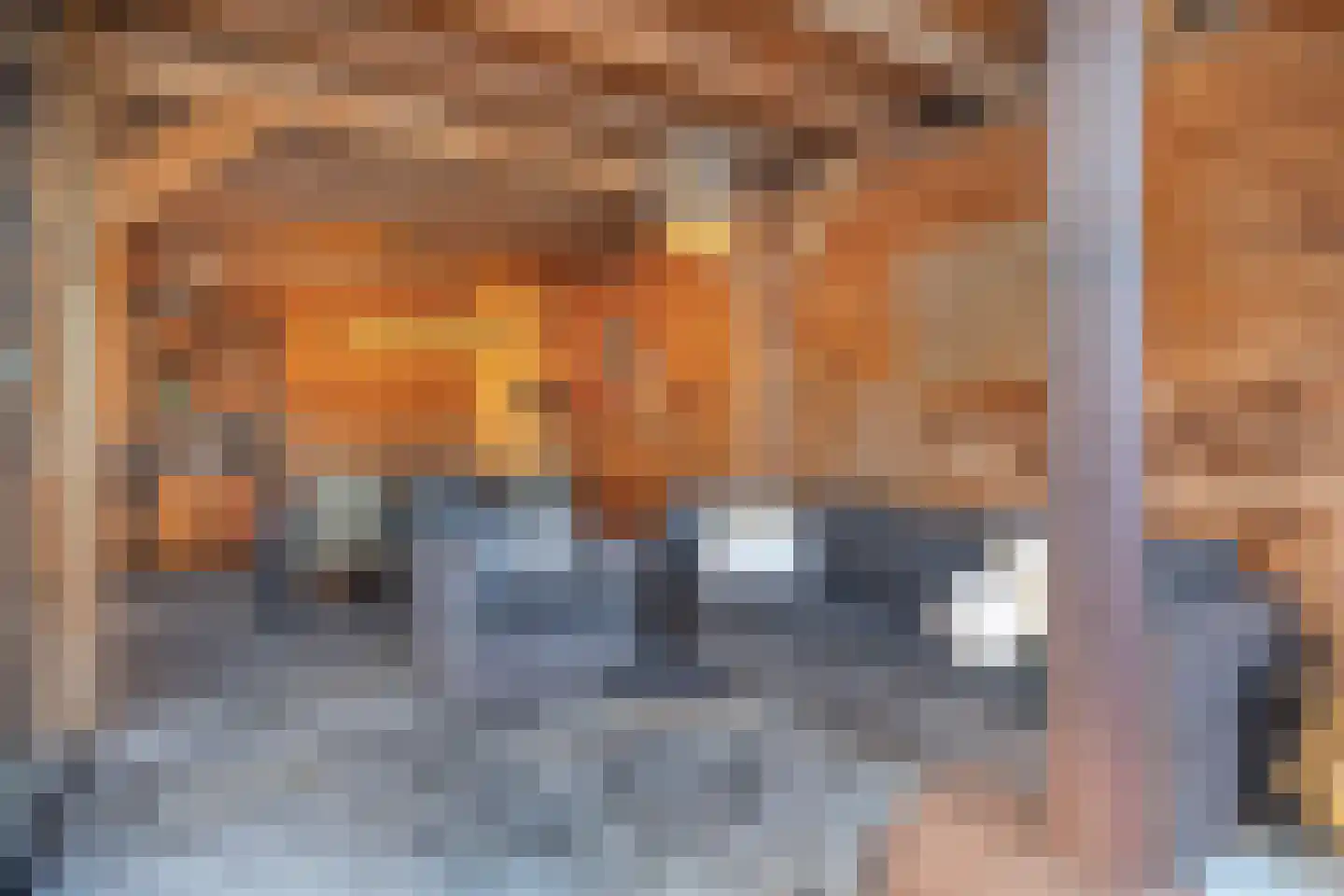Bovenstraat-Erf 1 Hoeven thumbnail 43