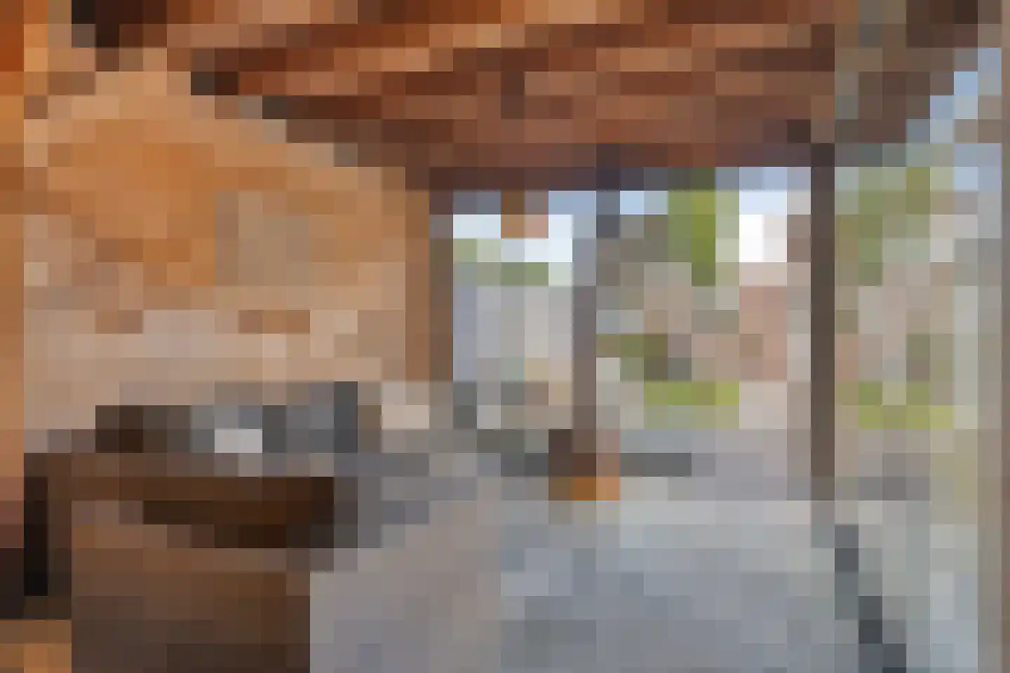 Bovenstraat-Erf 1 Hoeven thumbnail 45