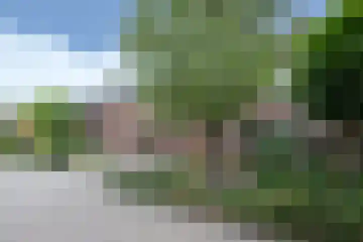 Bovenstraat-Erf 11 Hoeven thumbnail 5