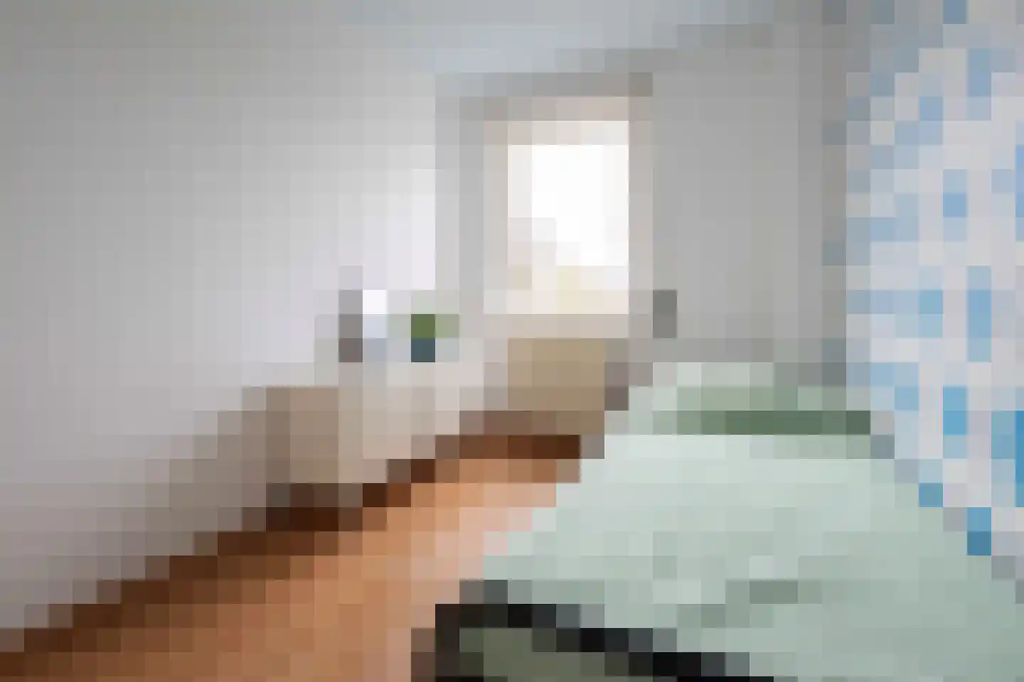 Bovenstraat-Erf 41 Hoeven thumbnail 34