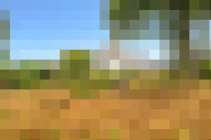Bovenvenneweg 27 Veelerveen thumbnail 10