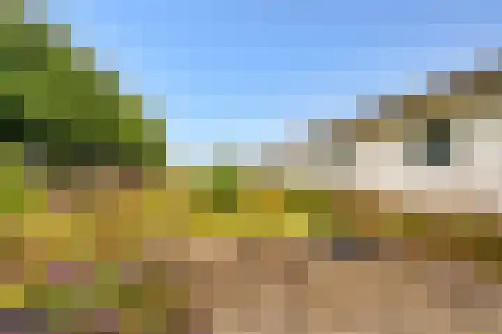 Bovenvenneweg 27 Veelerveen thumbnail 16