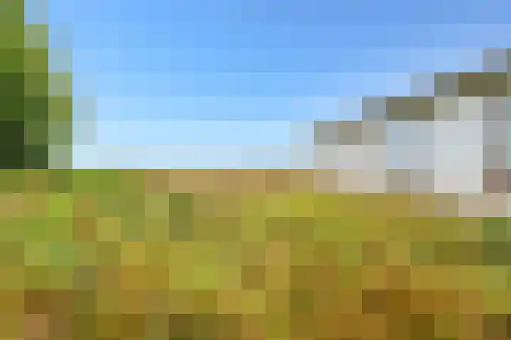 Bovenvenneweg 27 Veelerveen thumbnail 17