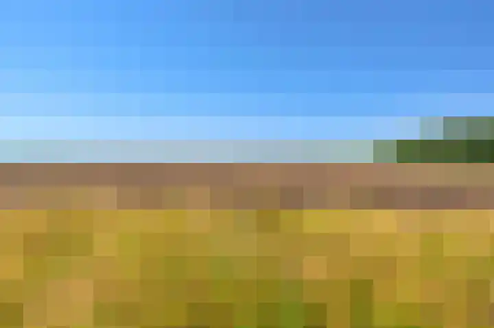 Bovenvenneweg 27 Veelerveen thumbnail 18
