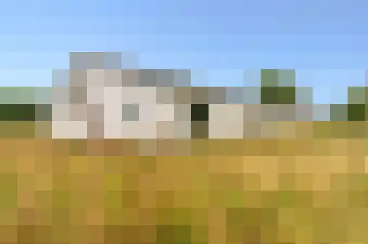 Bovenvenneweg 27 Veelerveen thumbnail 19