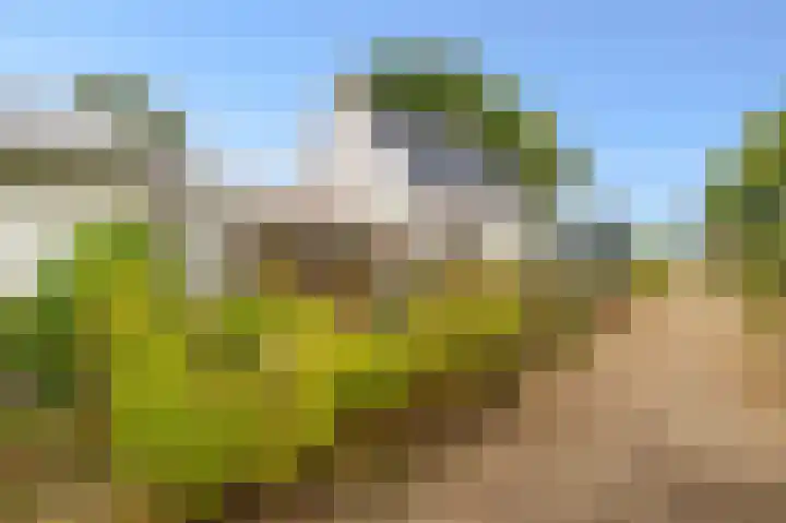 Bovenvenneweg 27 Veelerveen thumbnail 20