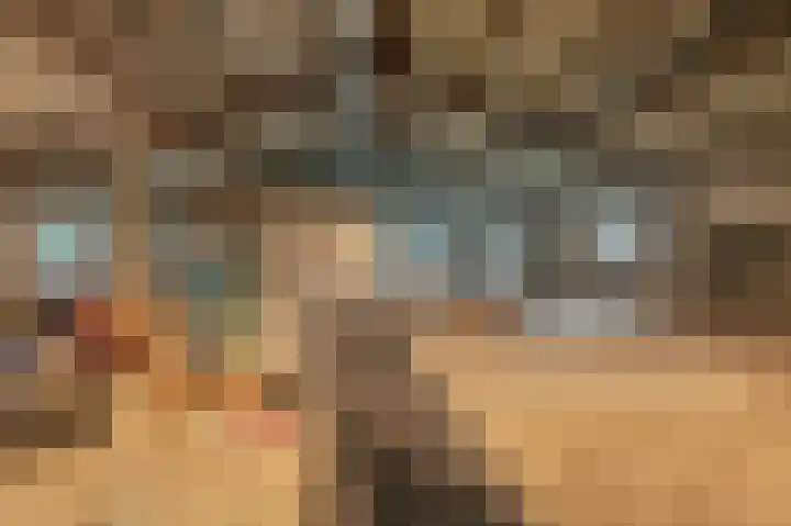 Bovenvenneweg 27 Veelerveen thumbnail 39