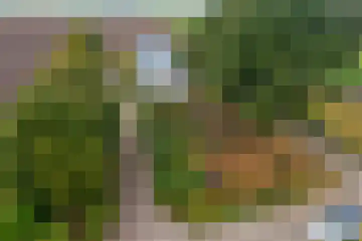 Bovenvenneweg 27 Veelerveen thumbnail 4