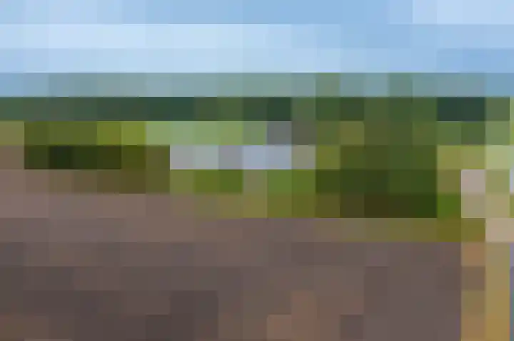Bovenvenneweg 27 Veelerveen thumbnail 5