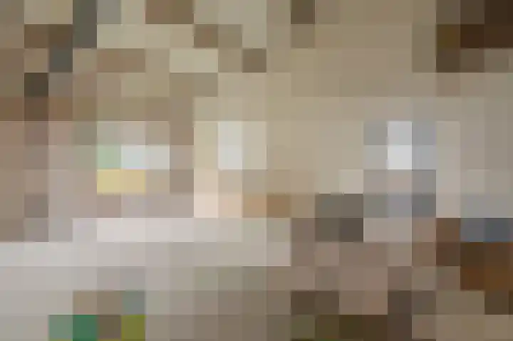 Bovenvenneweg 27 Veelerveen thumbnail 51
