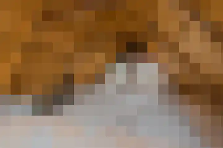 Bovenvenneweg 27 Veelerveen thumbnail 53