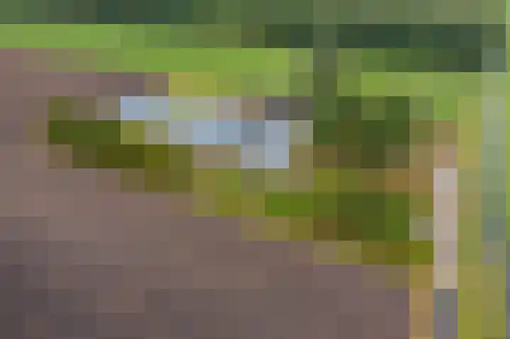 Bovenvenneweg 27 Veelerveen thumbnail 6