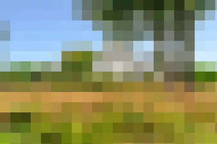 Bovenvenneweg 27 Veelerveen thumbnail 9