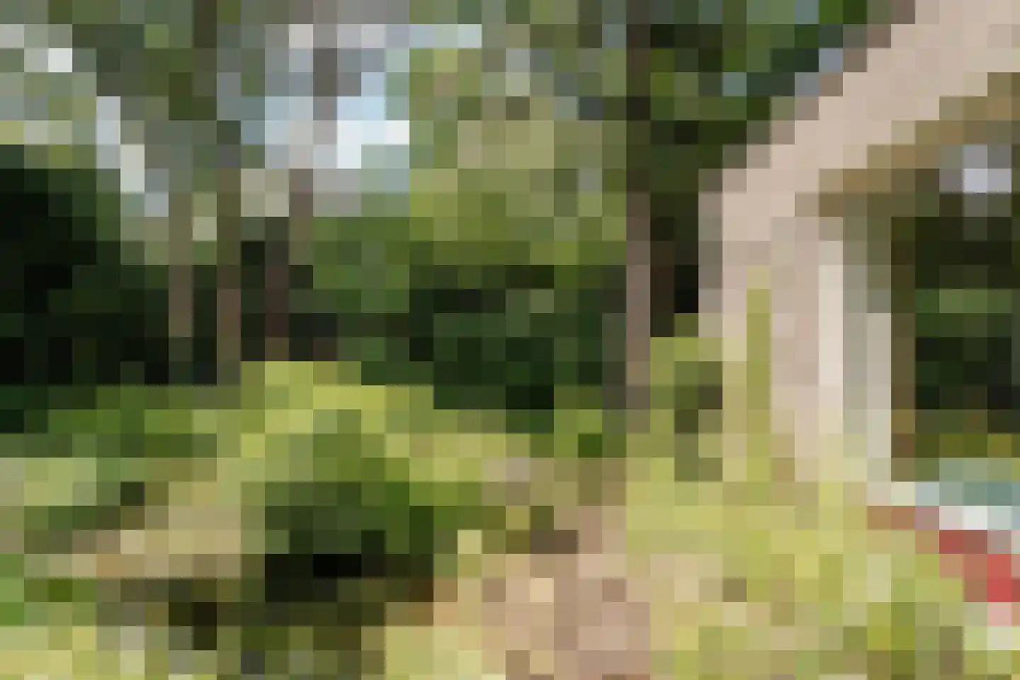 Bovenweg 12 Aerdenhout thumbnail 29