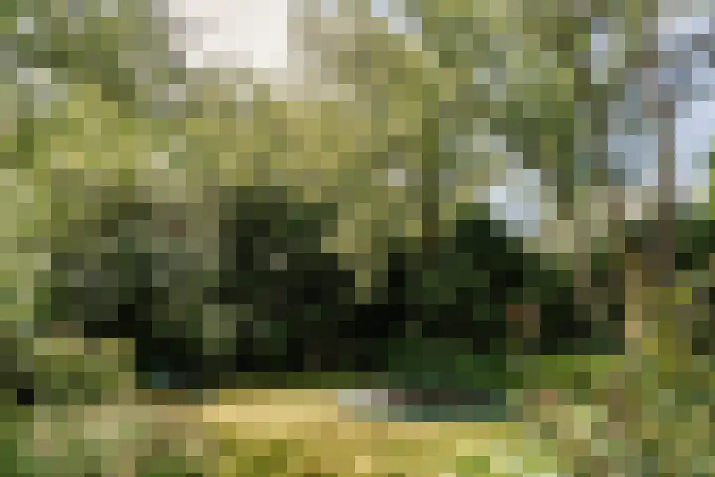 Bovenweg 12 Aerdenhout thumbnail 31