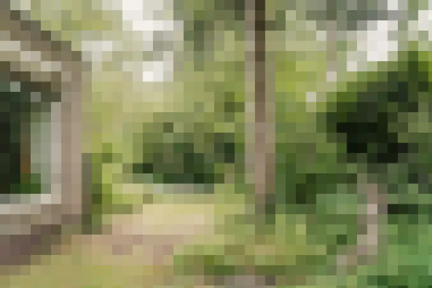 Bovenweg 12 Aerdenhout thumbnail 32