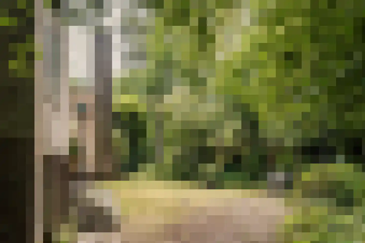 Bovenweg 12 Aerdenhout thumbnail 33