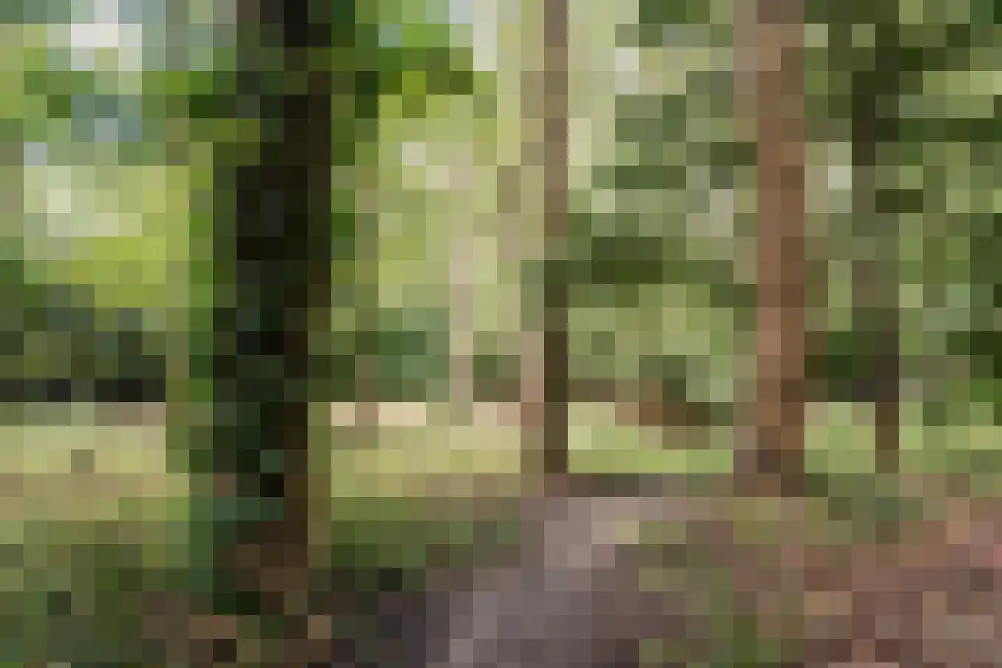 Bovenweg 12 Aerdenhout thumbnail 34
