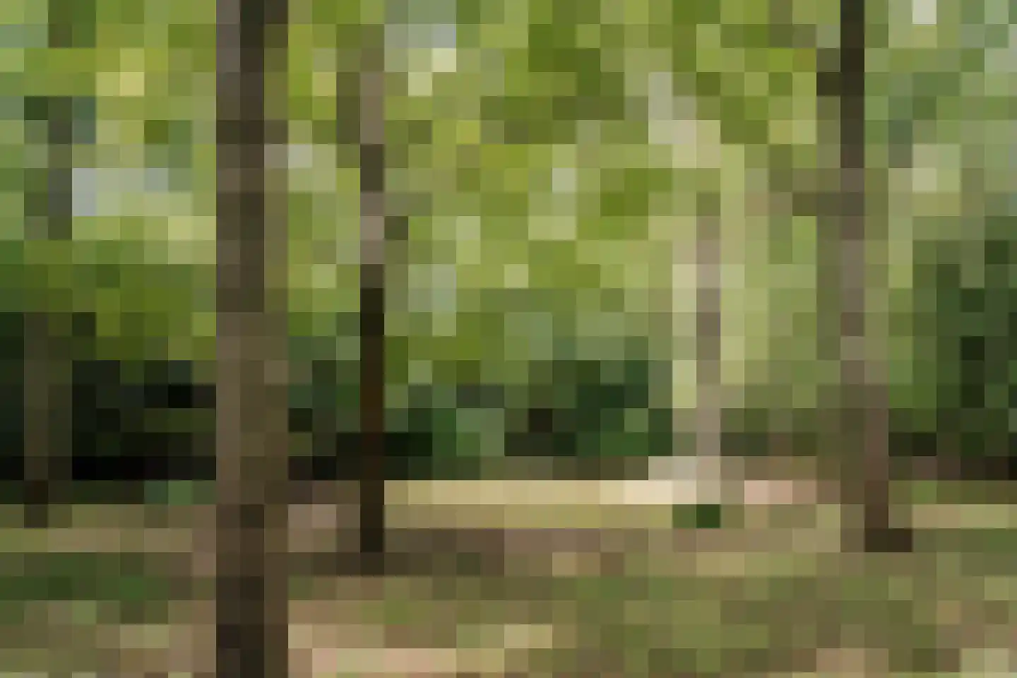 Bovenweg 12 Aerdenhout thumbnail 35
