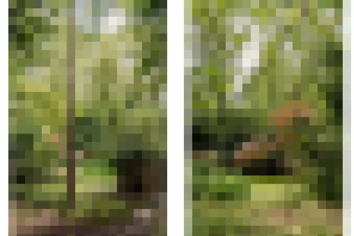Bovenweg 12 Aerdenhout thumbnail 36