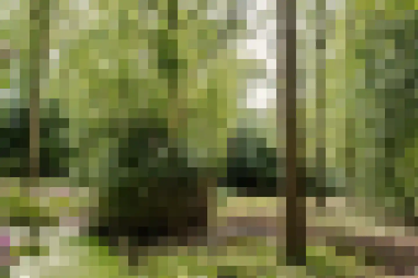 Bovenweg 12 Aerdenhout thumbnail 37