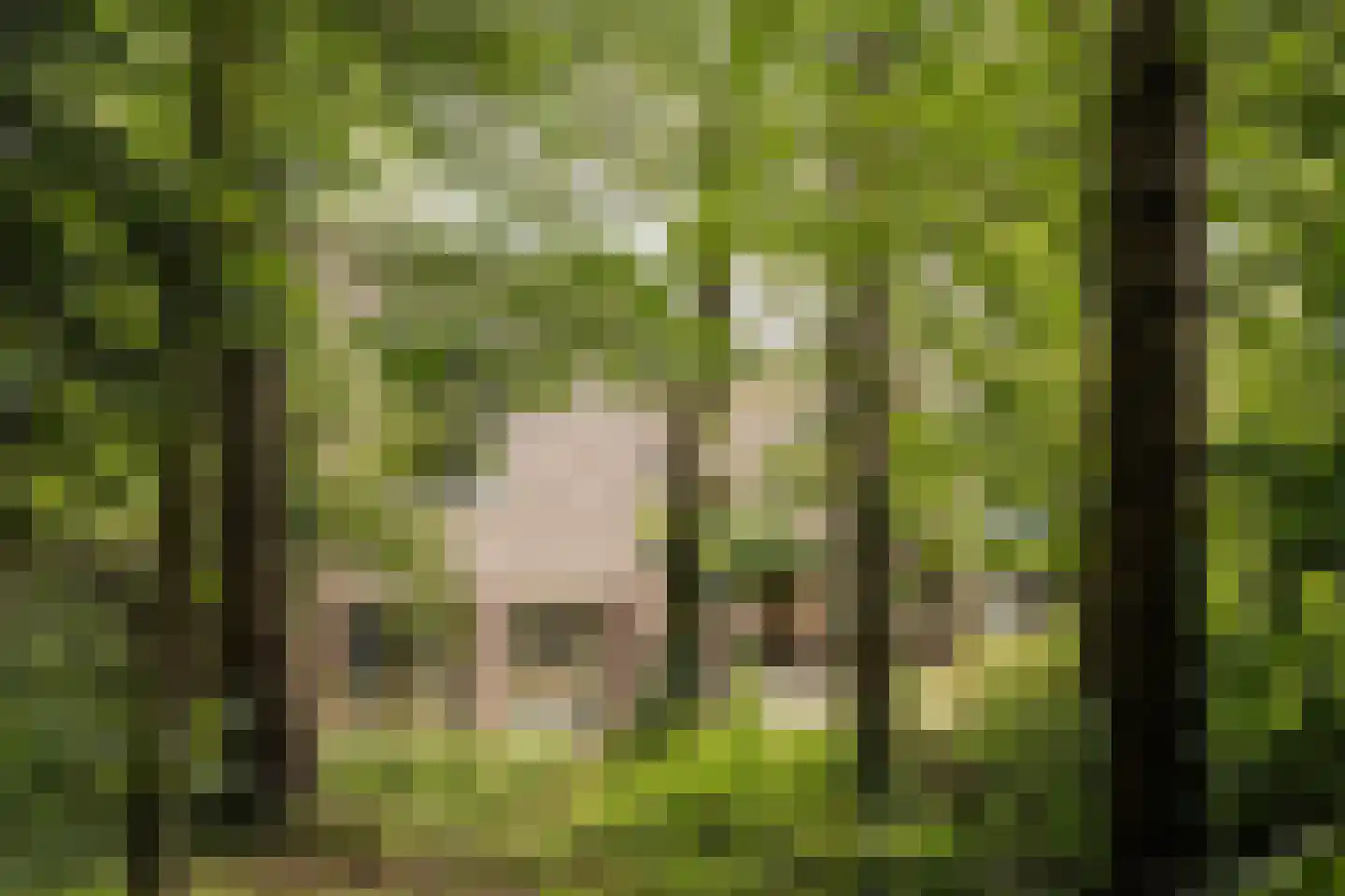 Bovenweg 12 Aerdenhout thumbnail 39